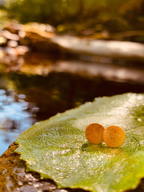 Ohrringe CIRCLE Vergoldet